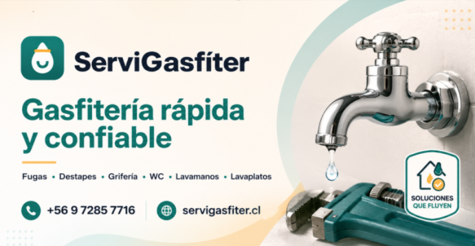 Vista previa de ServiGasfíter